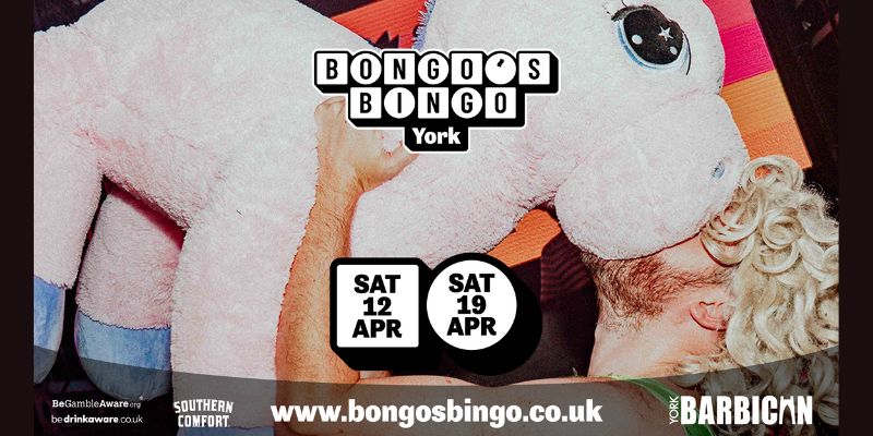 Bongo's Bingo